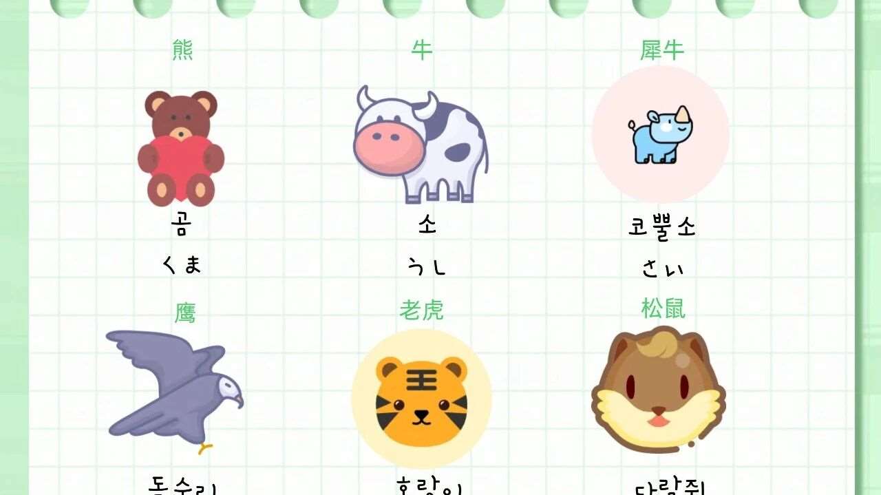 【萌趣日韩语小课堂开课啦！】🦝🐰🌿